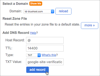 Bluehost Add TXT Record