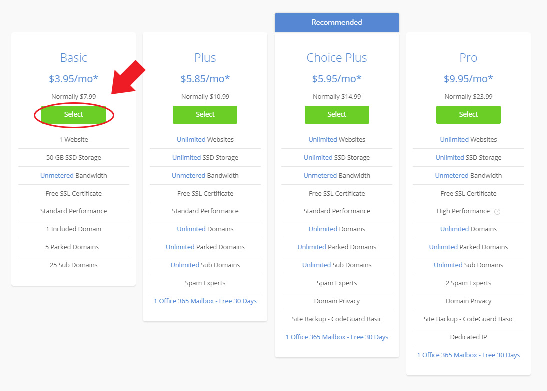 Bluehost Basic Pricing Option