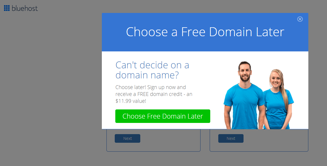 Choose Free Domain Later