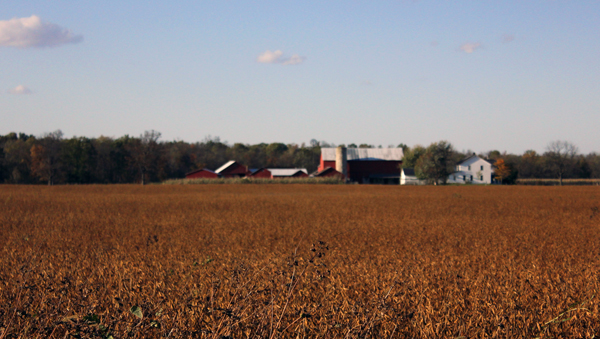 Rural Ohio Barn