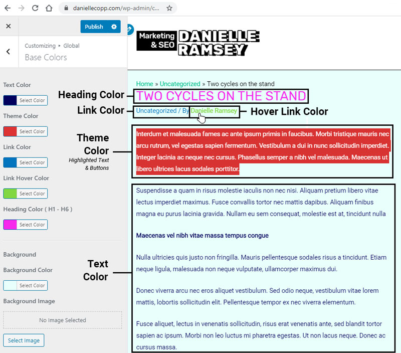 Astra WordPress Theme Color Settings