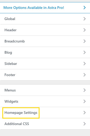 Astra Homepage Settings in Customization Page