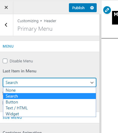 Primary menu astra theme, last item options