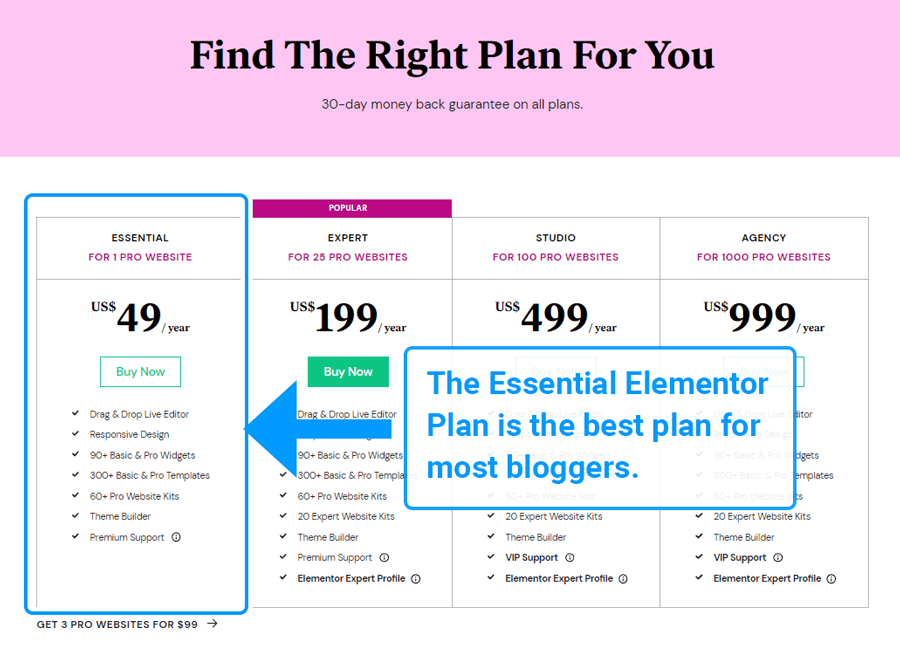 Elementor Essential Plan